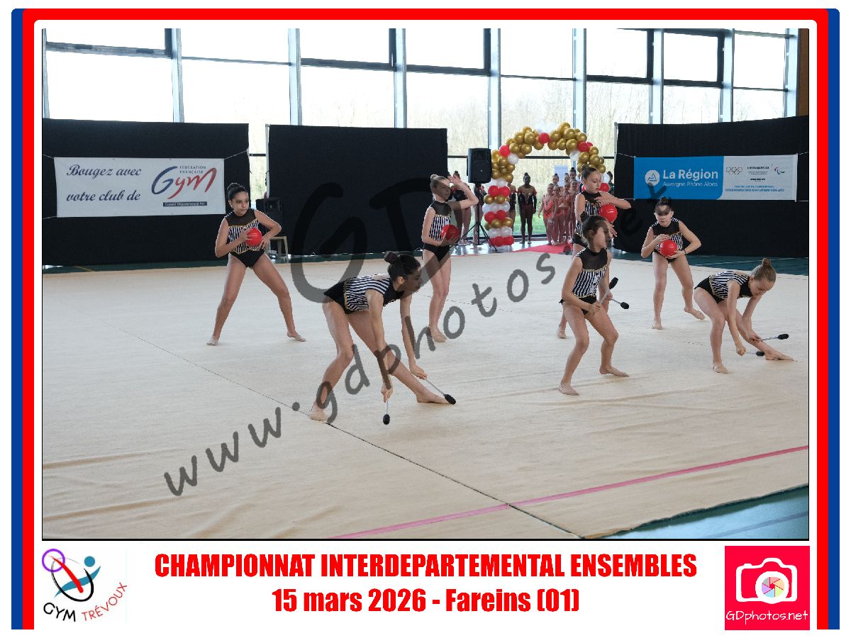 4531491