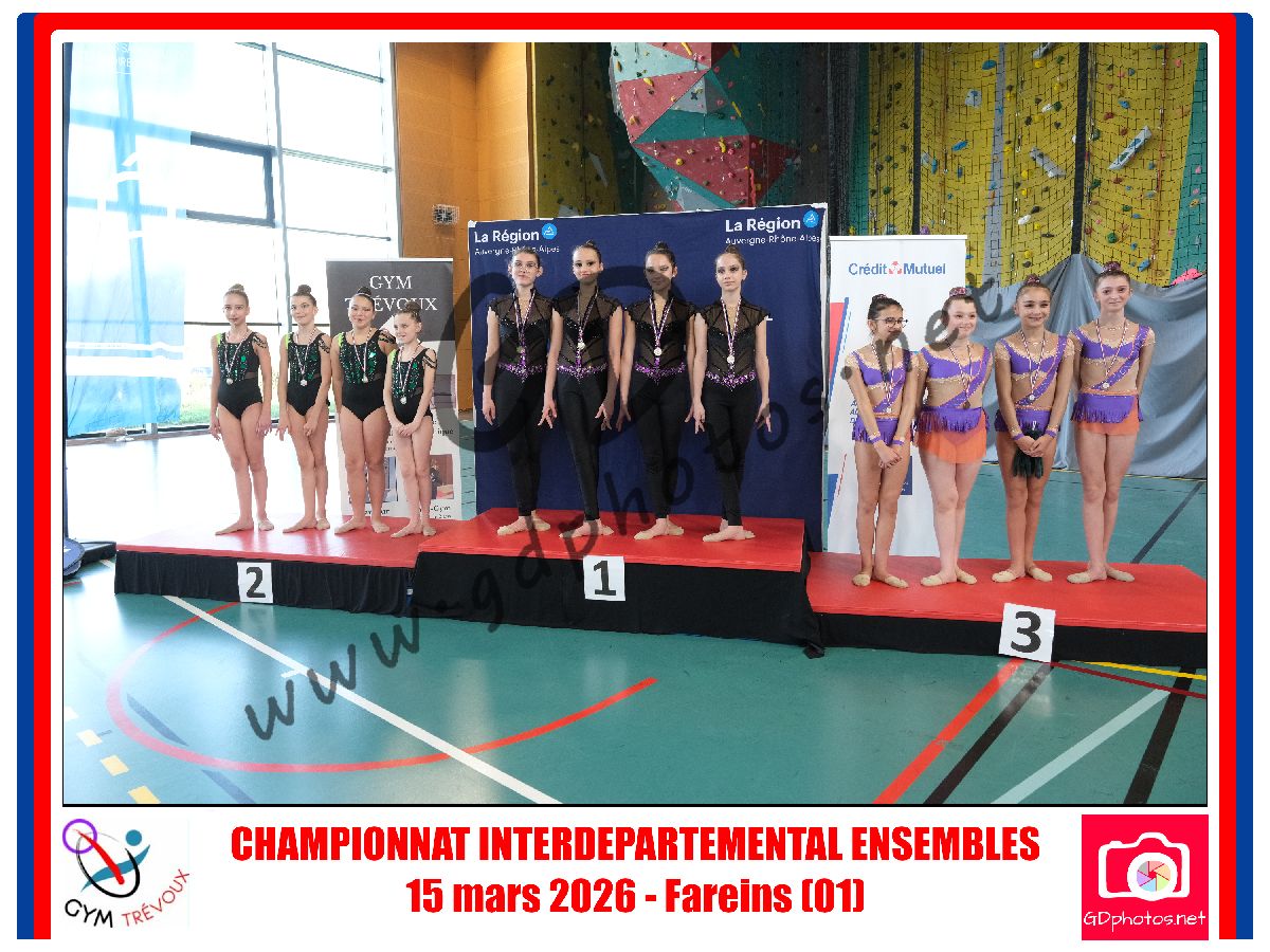 4533777