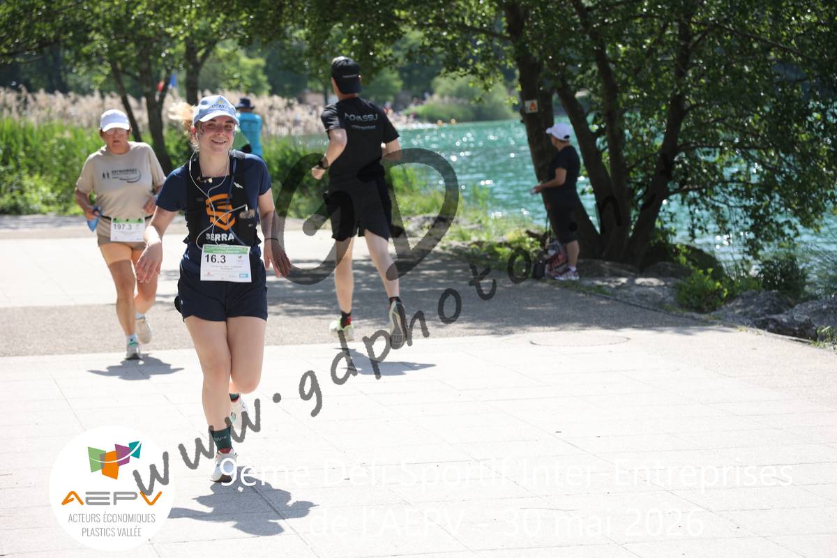 3633765