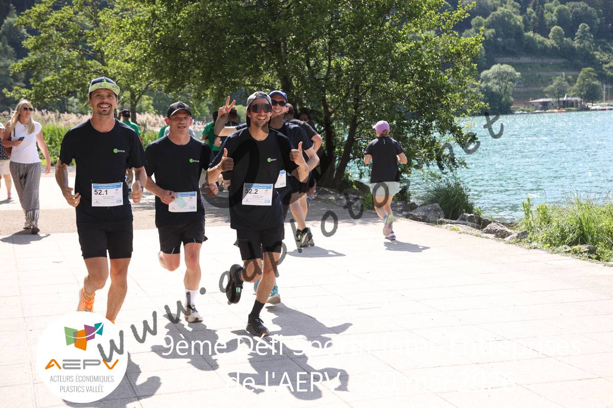 3633901