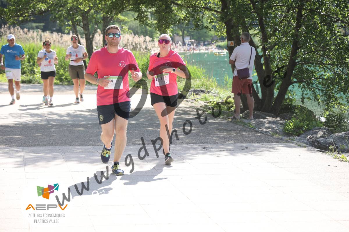 3634459