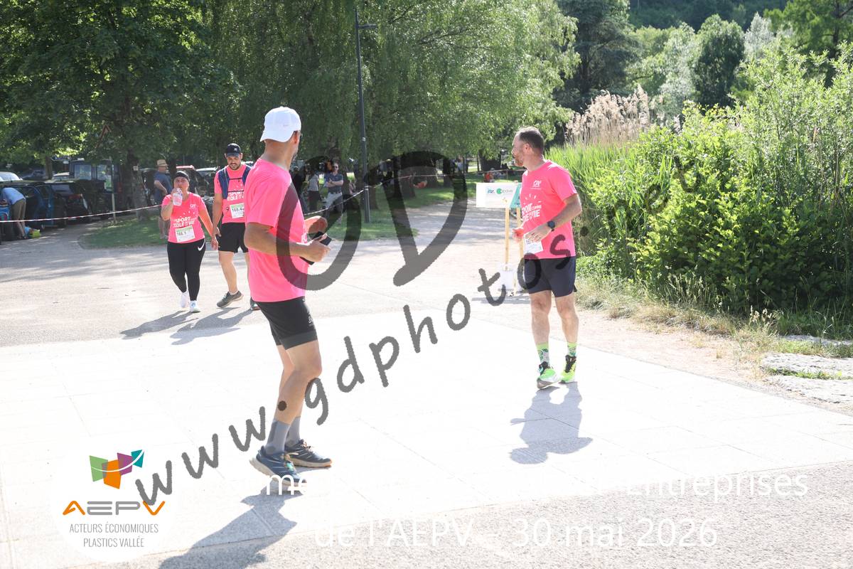 3634498