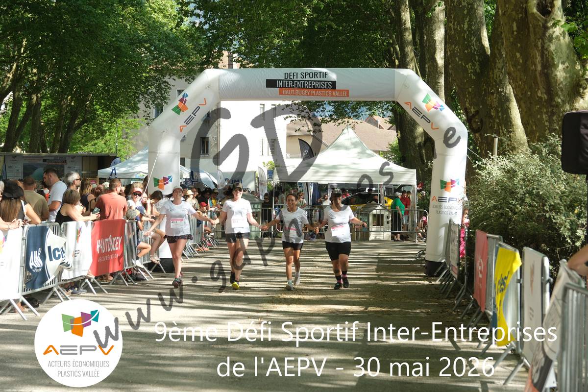 3636120