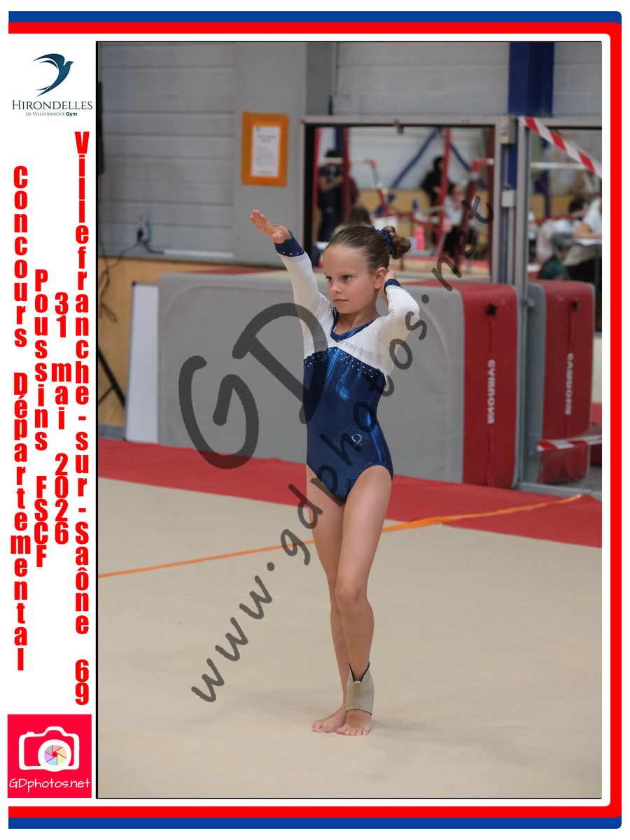 3637216