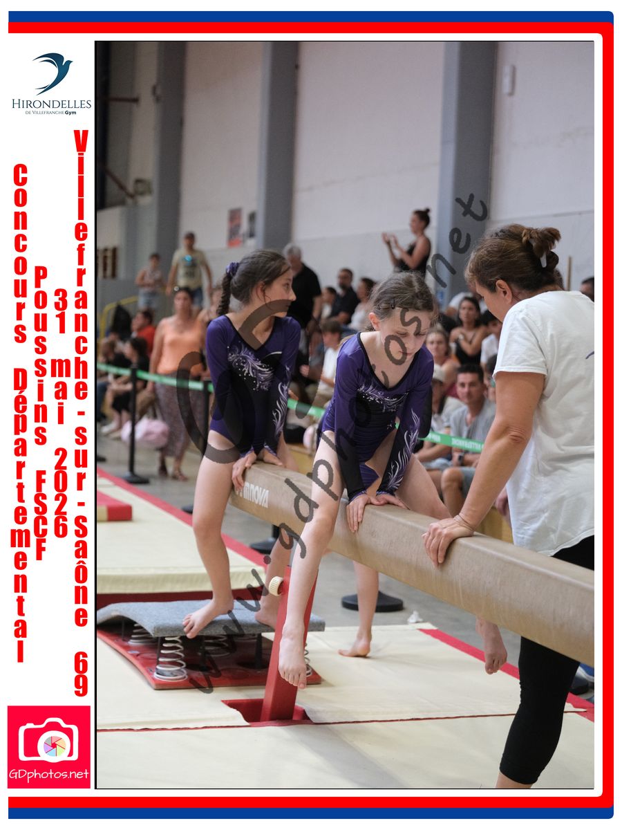 3638163