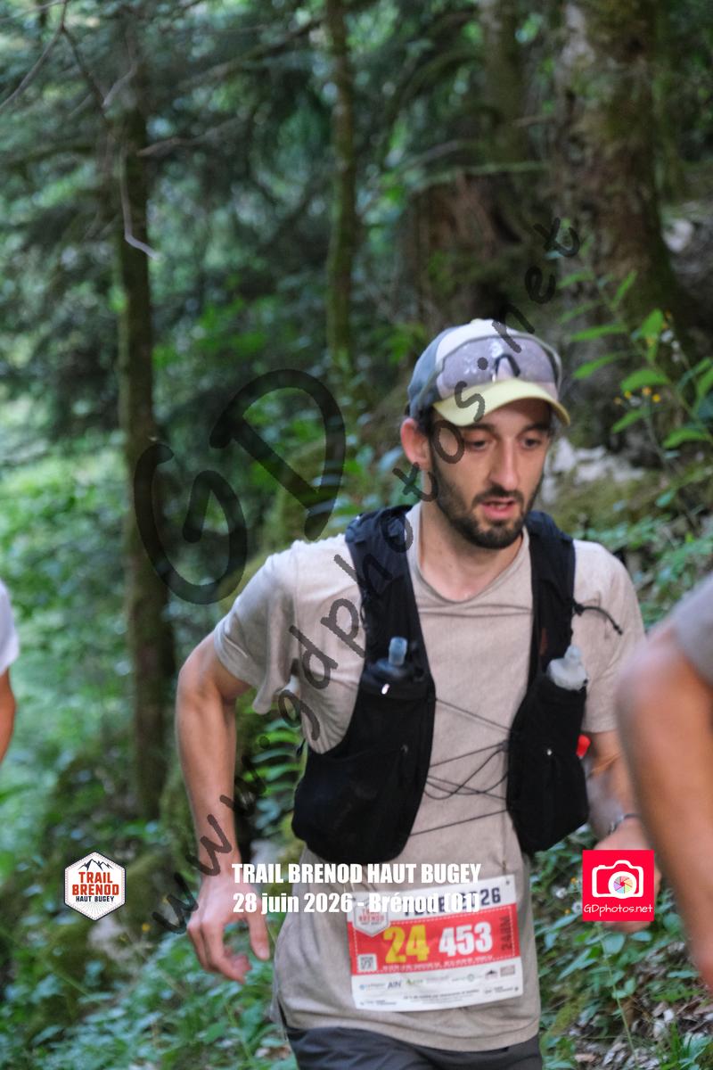 3641309