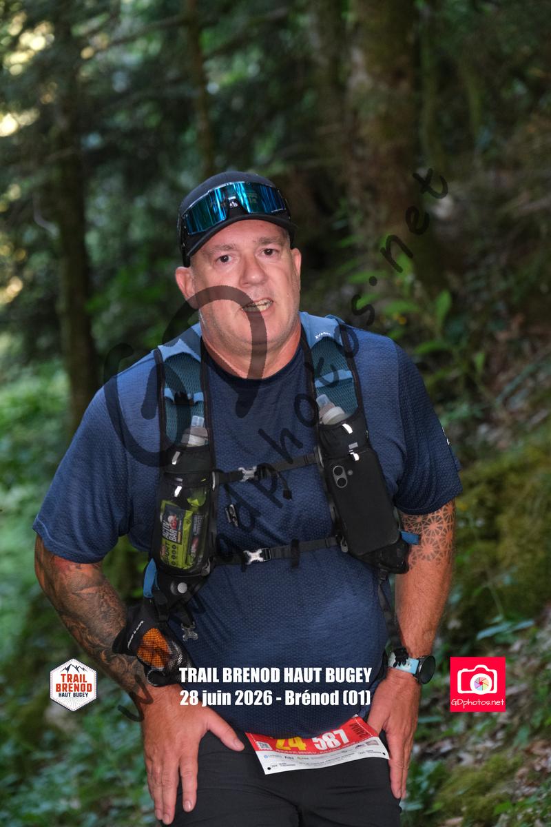 3641633