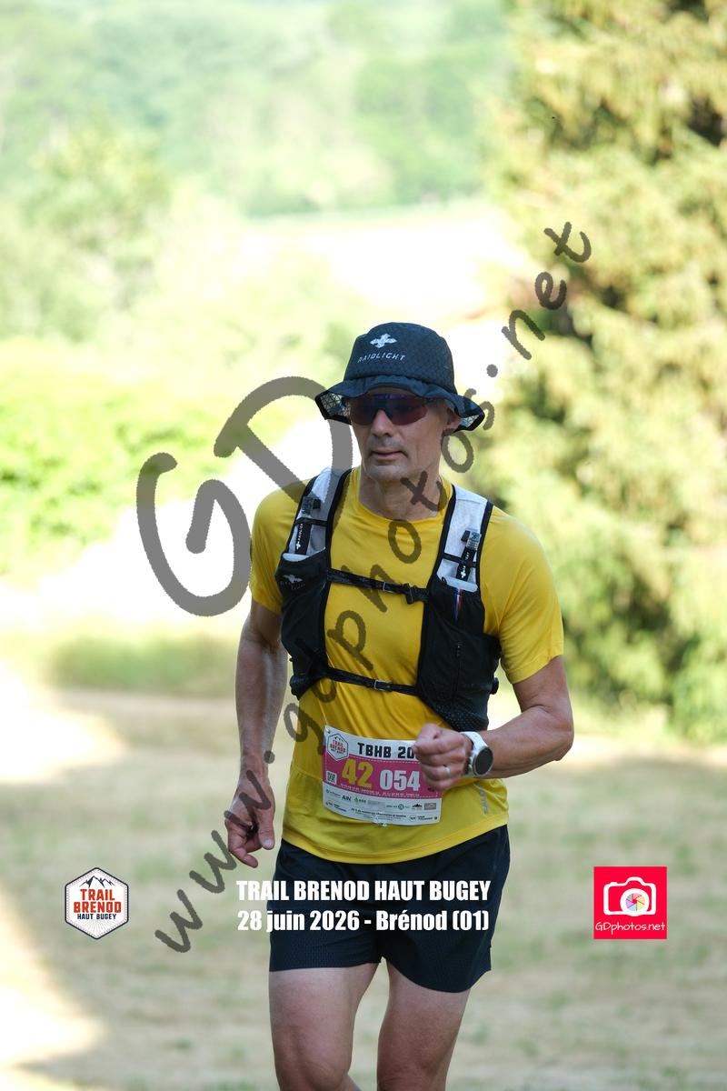 3641019
