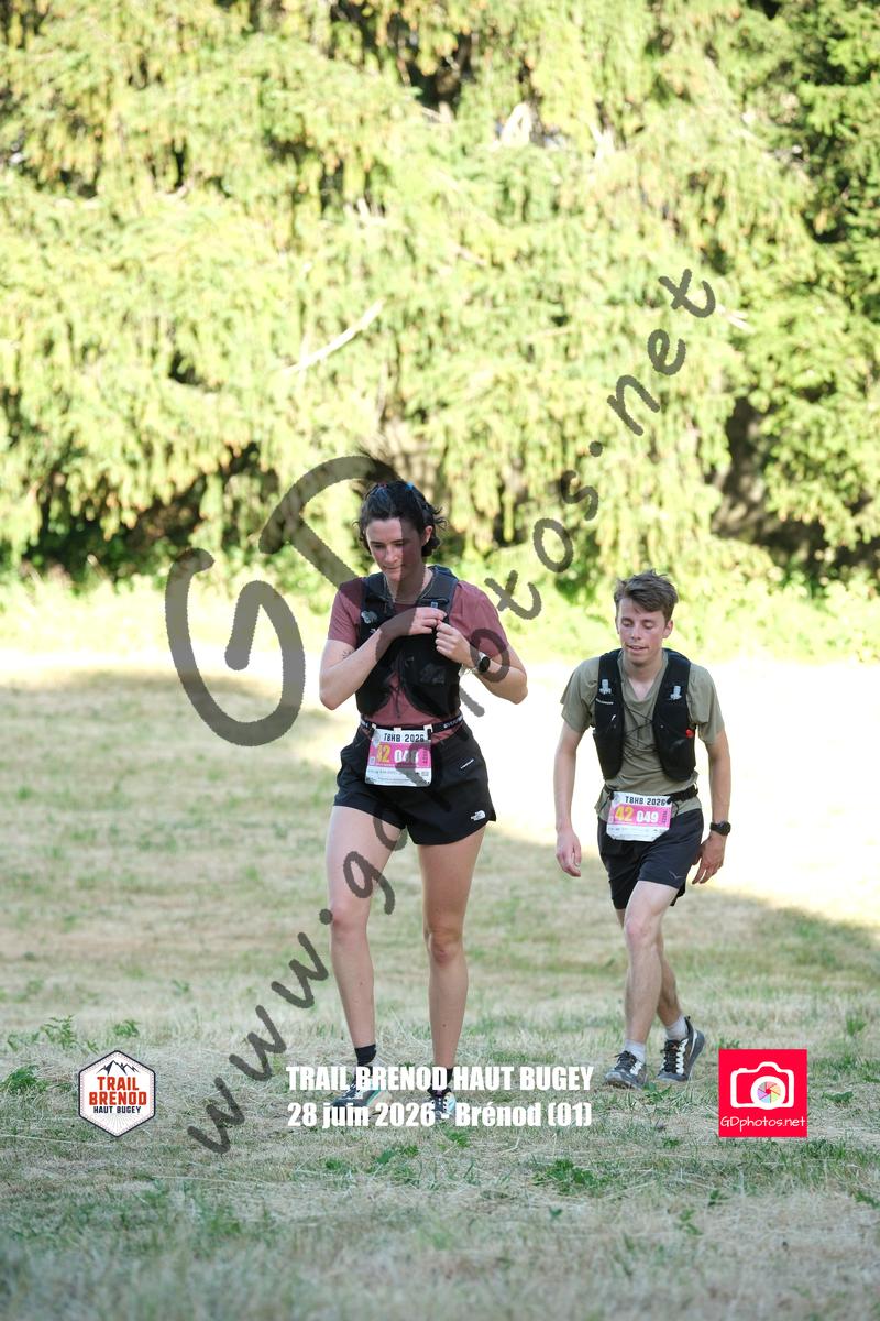 3641067