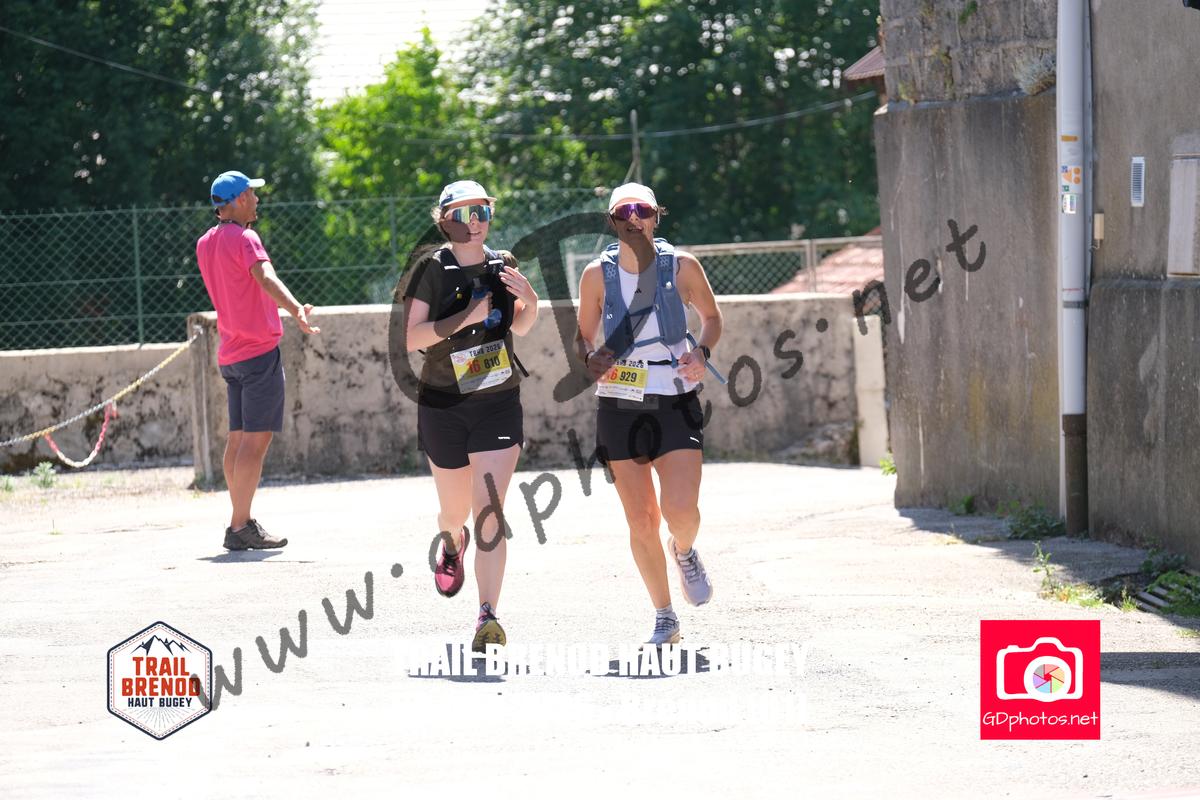3644596
