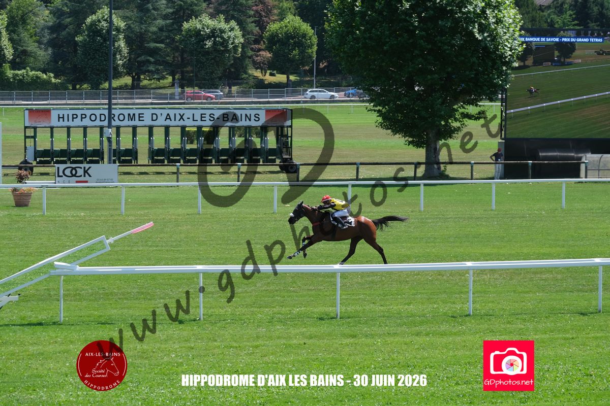 3203325