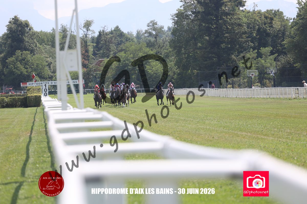 3203629