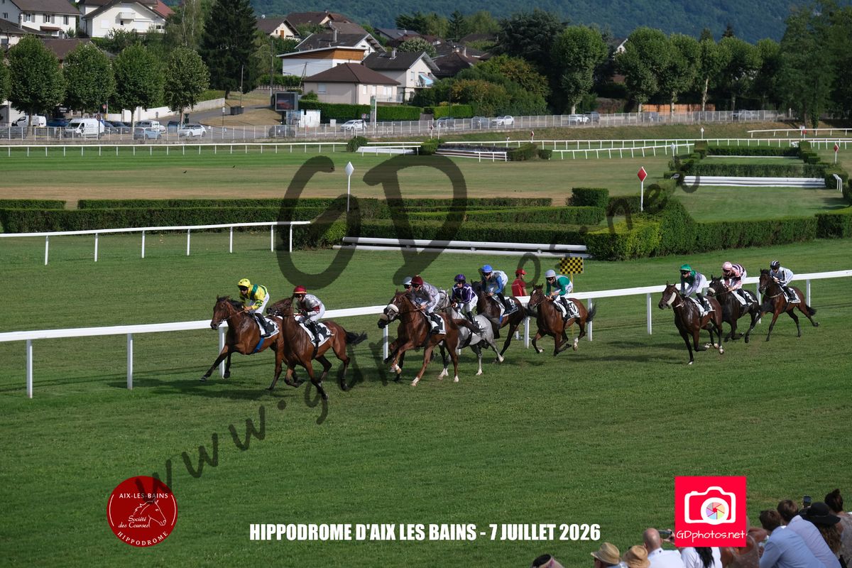 3203684