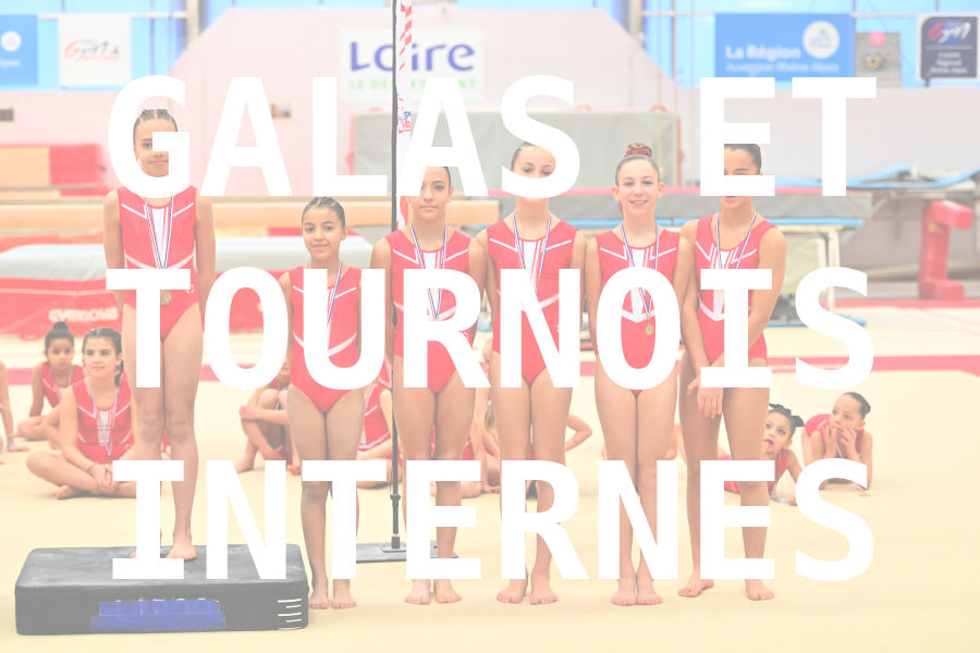 eventDat/miniatures/20250118GYMsaintetienne.jpg