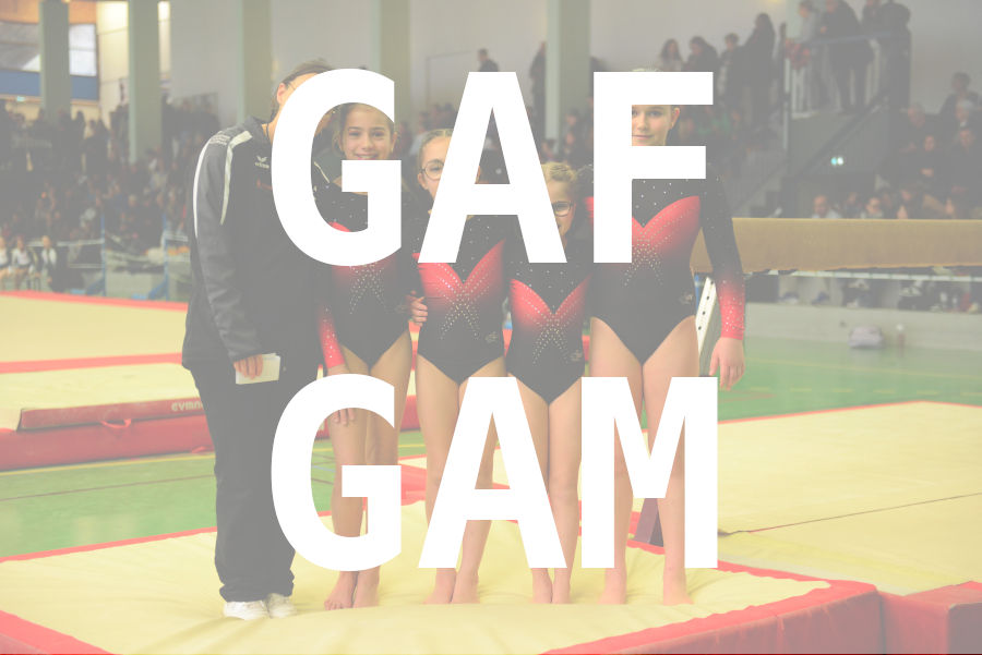 eventDat/miniatures/20250201GYMbelley.jpg
