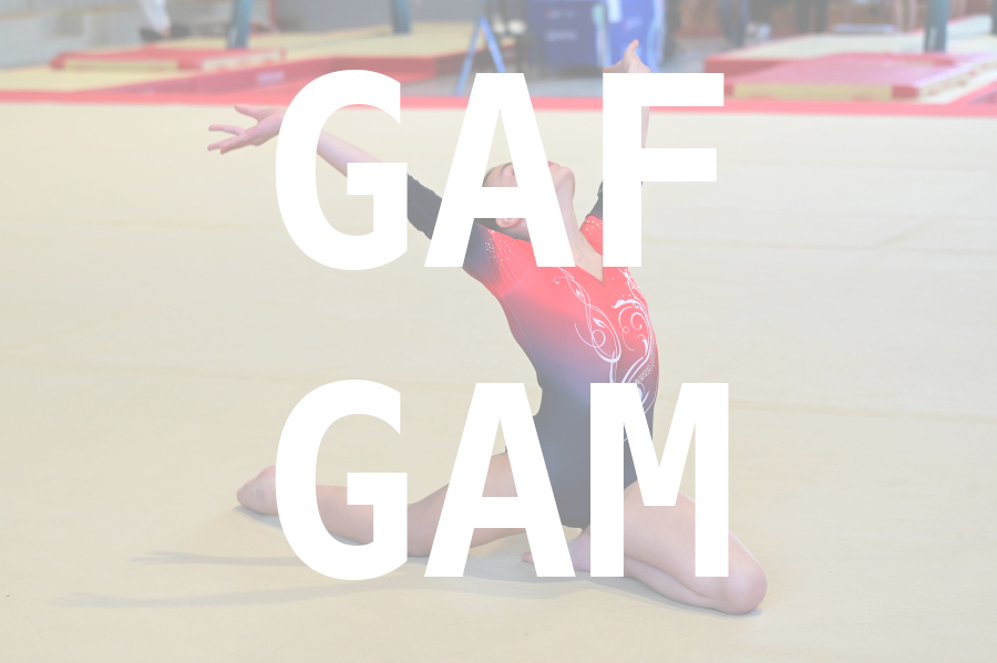 eventDat/miniatures/20250215GYMviriat.jpg