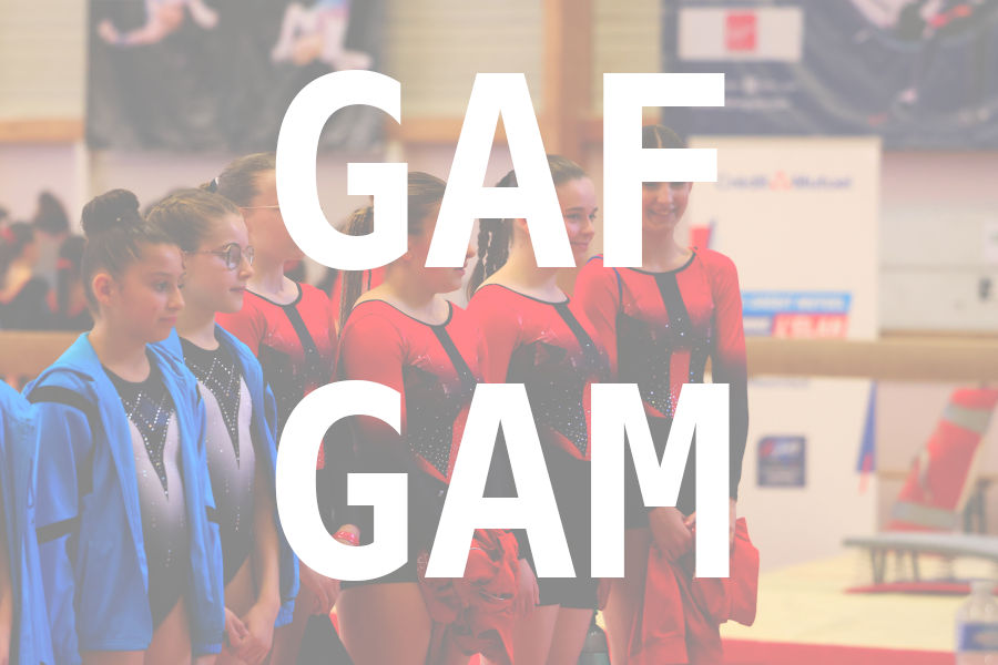 eventDat/miniatures/20250322GYMsaintetienne.jpg