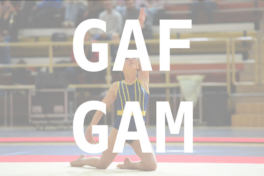 eventDat/miniatures/20250426GYMmulhouse.jpg