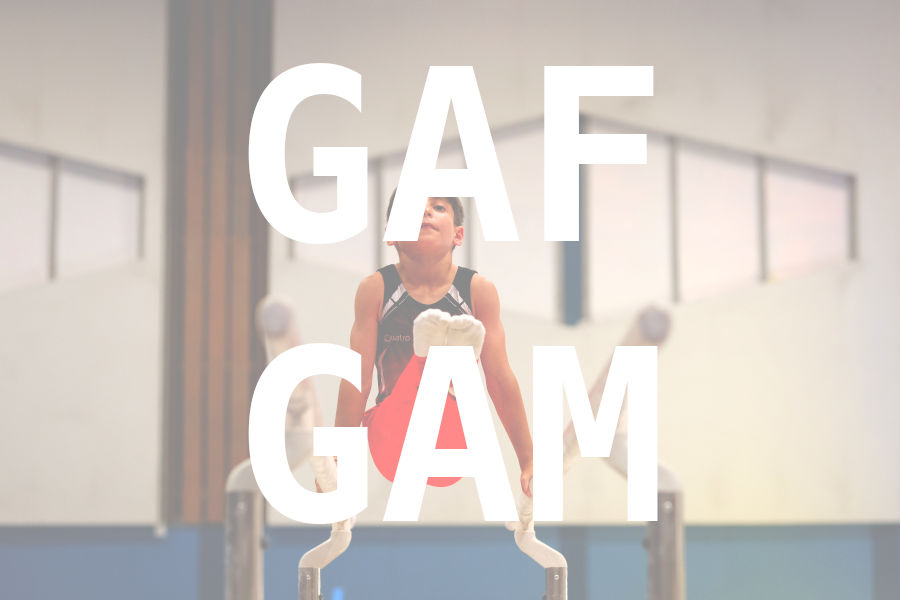 eventDat/miniatures/20260620GYMsaintlouis.jpg