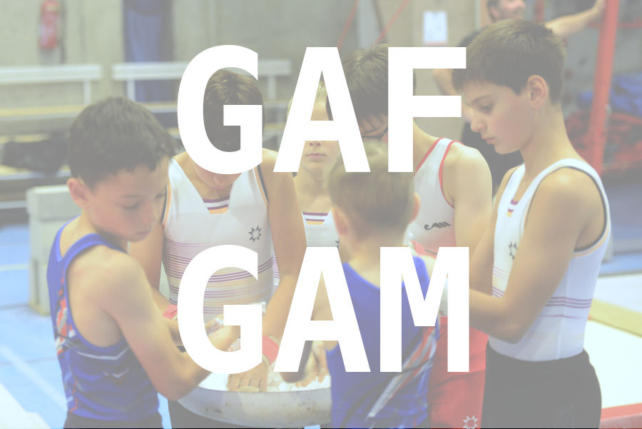 eventDat/miniatures/20260620GYMvalence.jpg